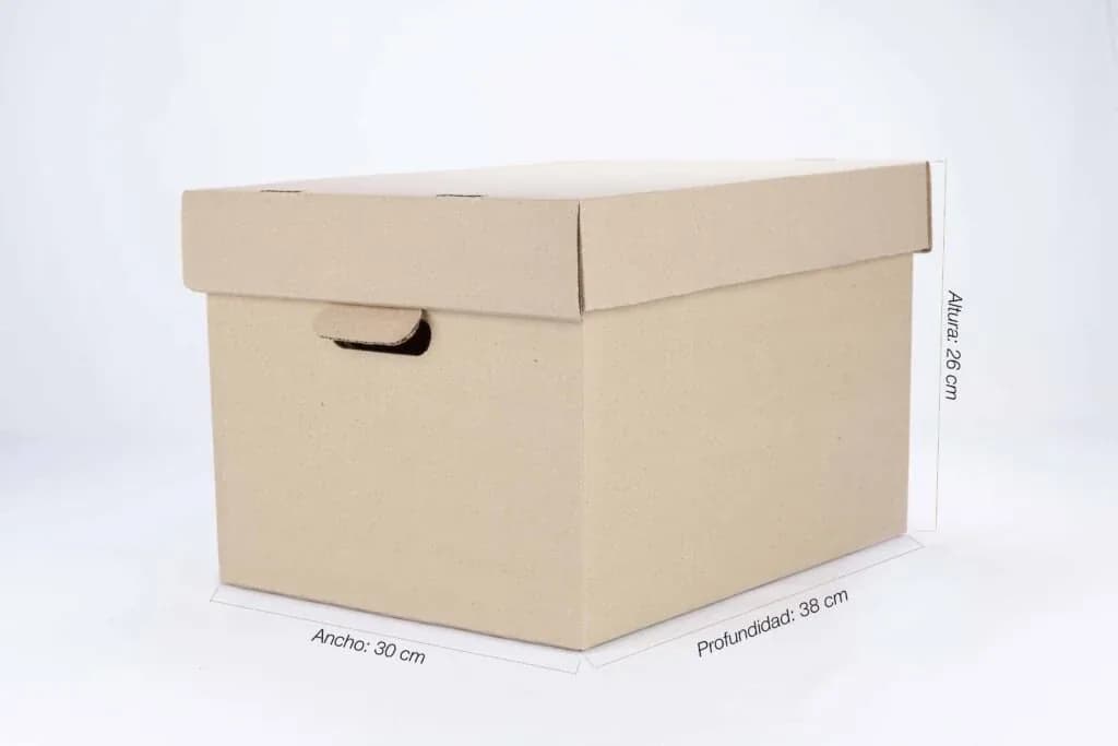 CARTON P ARCHIVAR 015 C TAPA 38X23 CM