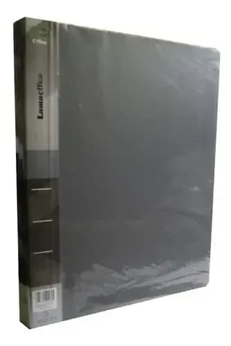 CARPETA OFICIO T TRANSPARENTE GRIS