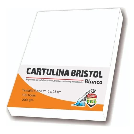 PLIEGO CART. BRISTOL BLANCA 70X100