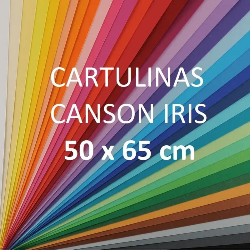 PLIEGO CART. IRIS CANSON COLORES