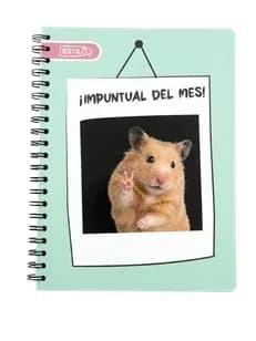 CUAD. 100H UNIVERSITARIO 4L