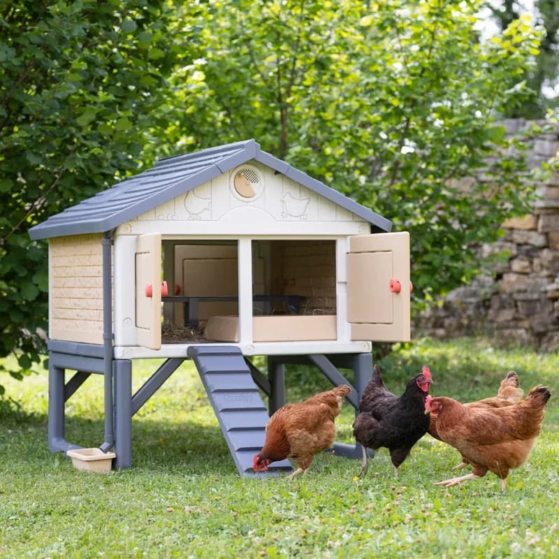 GALLINA C SIMBRA PEQ. 131