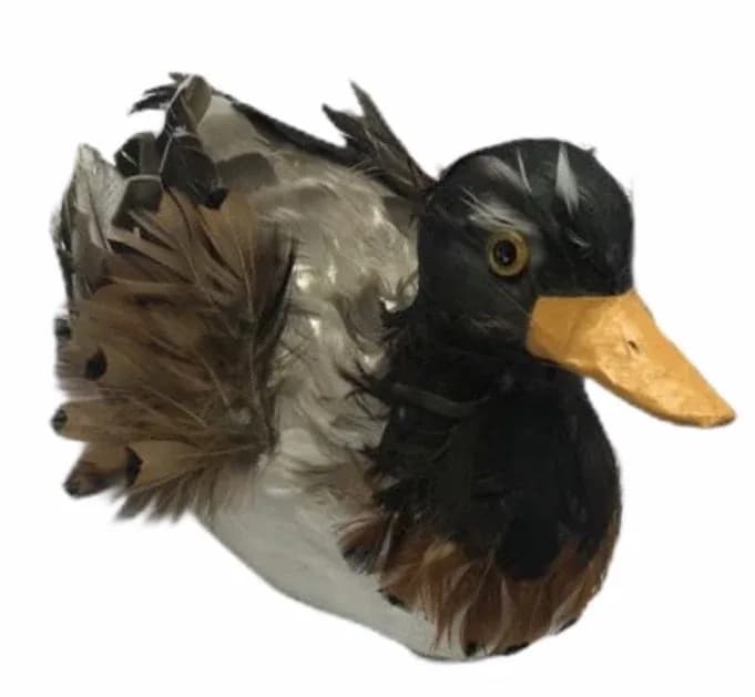 PATO CONC. ACOSTADO C PLUMAS 2435