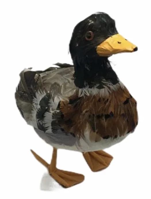 PATO CONC. PARADO C PLUMAS 2436