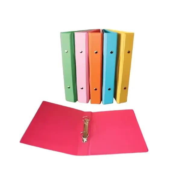 CARPETA 2 ANILLOS REX P CARAT INEN 0327 3CM