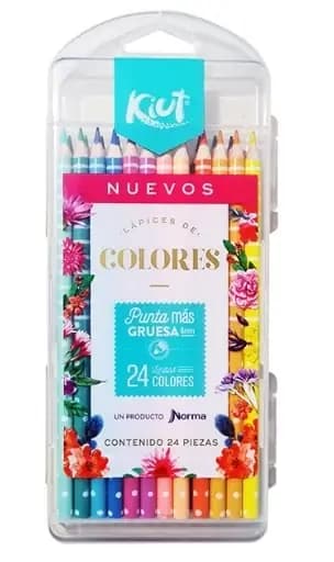 PINTURA KIUT X 24COL C PLASTICA