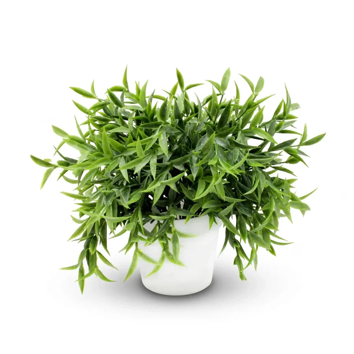 PLANTA MACETA METALICA 24 CM 23717