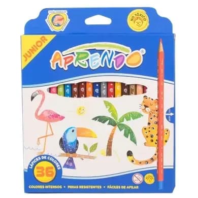 PINTURA APRENDO X 36COL TRIANGULAR 1333
