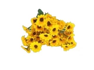 GIRASOL MINI 5309 - MY187