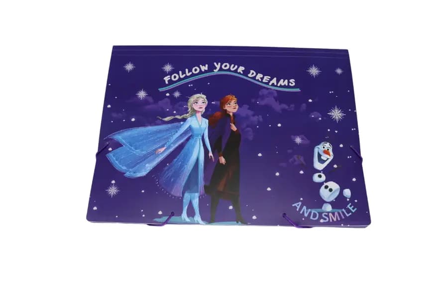 CARPETA ACORDEON REX FROZEN X 6DIV.