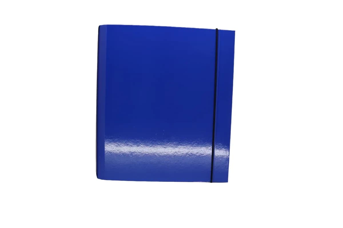 CARPETA 2 ANILLOS IDEAL BICOLOR C/ELAST FUCSIA/LILA