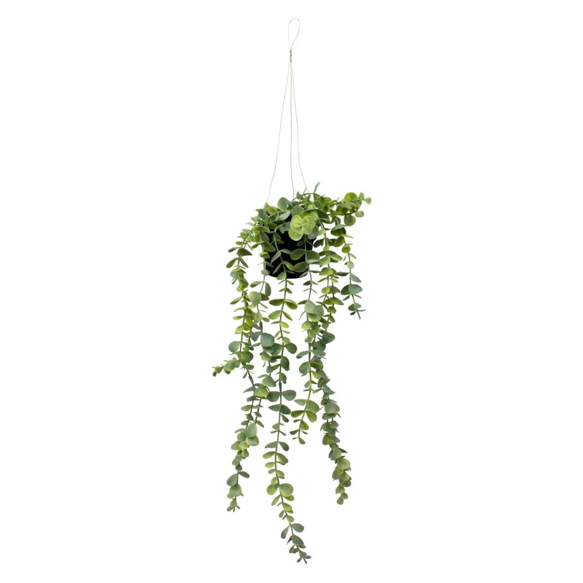 MINI PLANTA ES22729