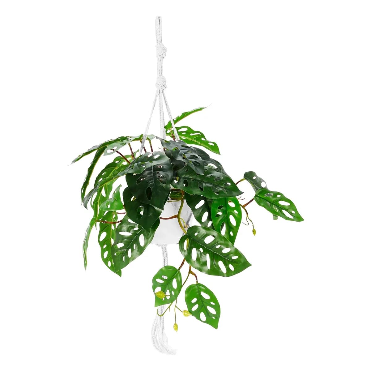 PLANTA C MACETA ES22780