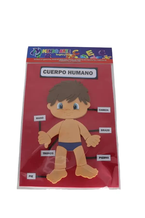 FOMIX FIGURA CUERPO HUMANO NINO