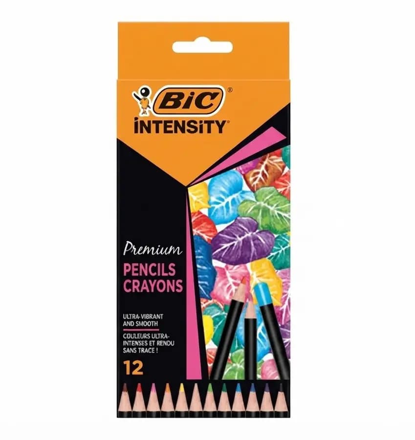 PINTURA BIC INTENSITY X 12COL GRANDE