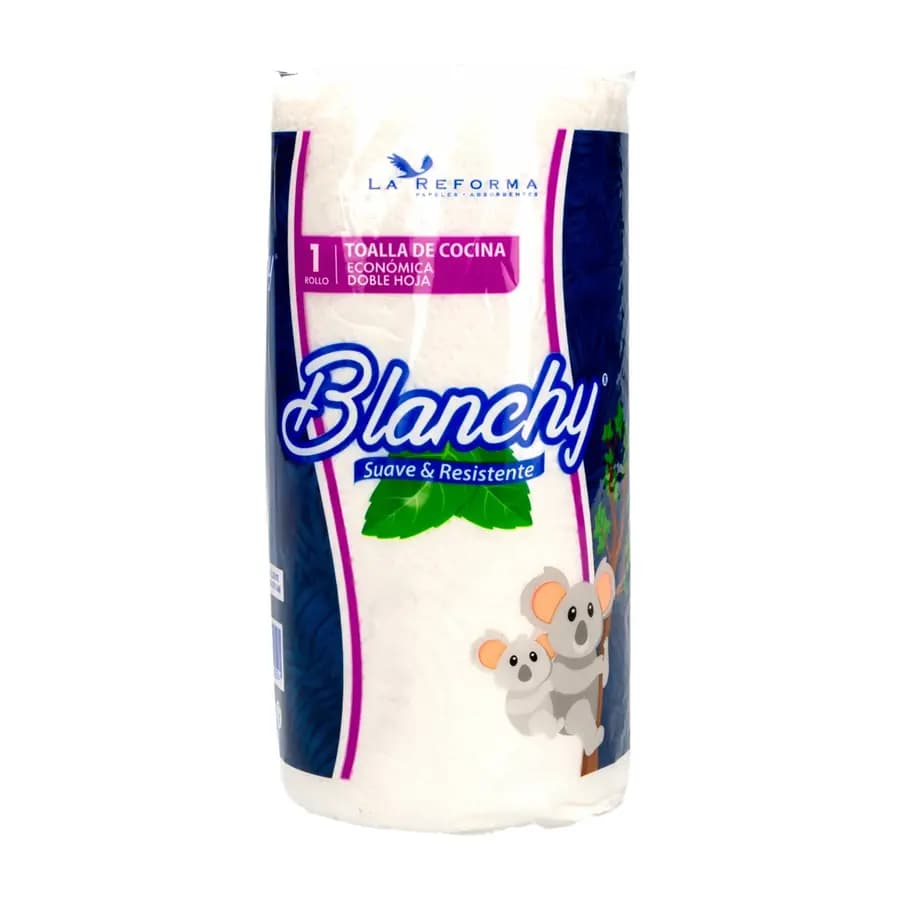 BULTO TOALLA COCINA BLANCHY 20PAQ. X 11M 2H