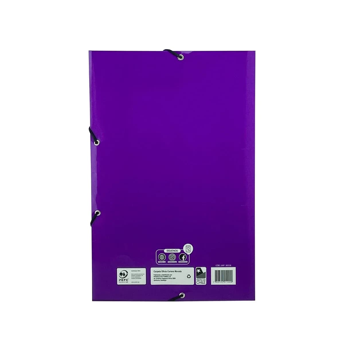 CARPETA OFICIO T TRANSPARENTE MORADO