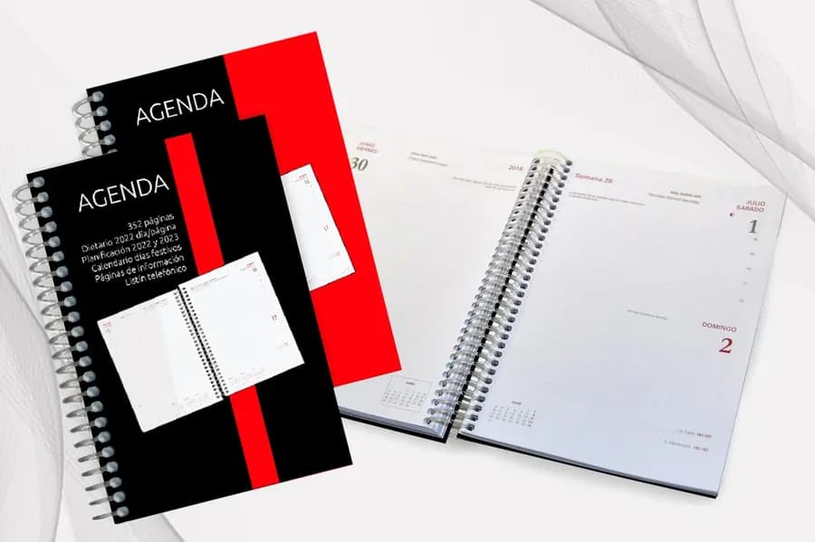AGENDA PERM. ESP. 2026 G246-37S